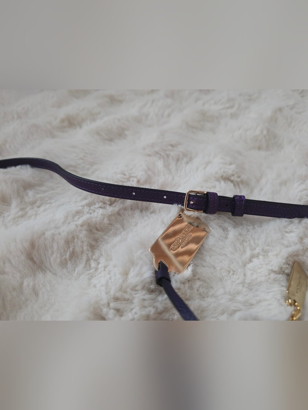 Coach Purple Genuine Leather Kylie Crossbody Bag With Gold Accents 52385 - Picture 4 of 13